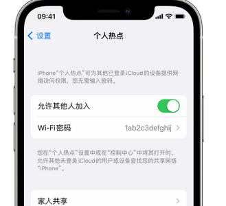 延川apple服务站点分享iPhone上个人热点丢失了怎么办