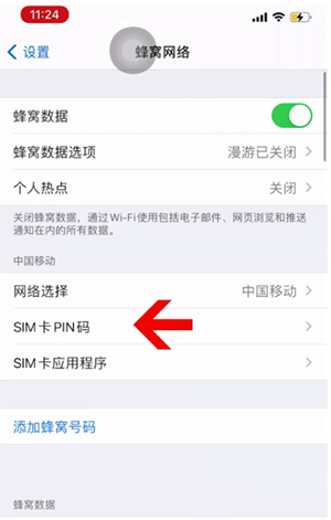 延川苹果14维修网分享如何给iPhone14的SIM卡设置密码 