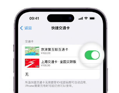 延川apple维修点分享iPhone上更换Apple Pay快捷交通卡手绘卡面 