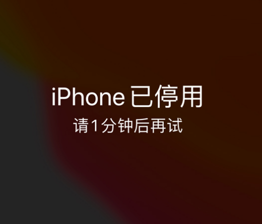 延川苹果手机维修分享:iPhone 显示“不可用”或“已停用”怎么办？还能保留数据吗？ 