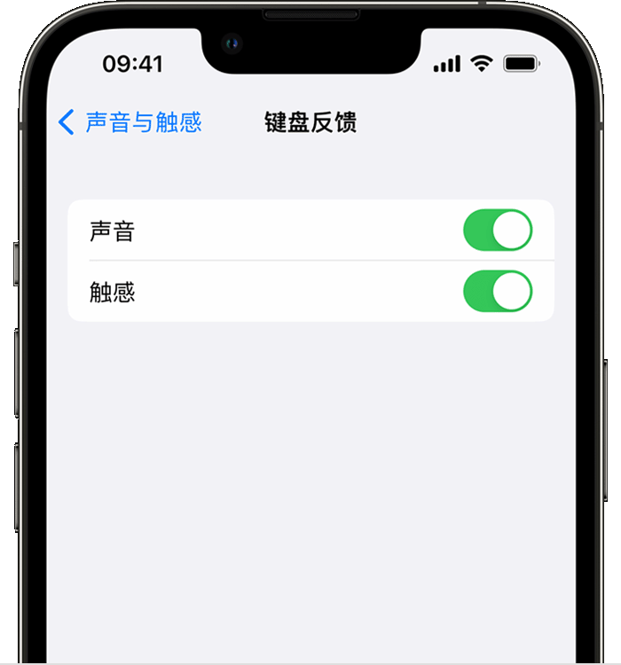 延川苹果14维修店分享如何在 iPhone 14 机型中使用触感键盘 