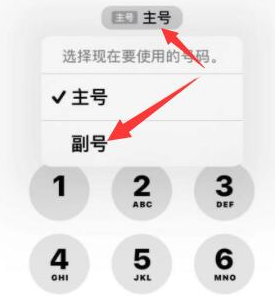 延川苹果14维修店分享iPhone 14 Pro Max使用副卡打电话的方法 