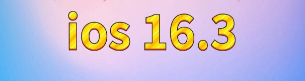 延川苹果服务网点分享苹果iOS16.3升级反馈汇总 