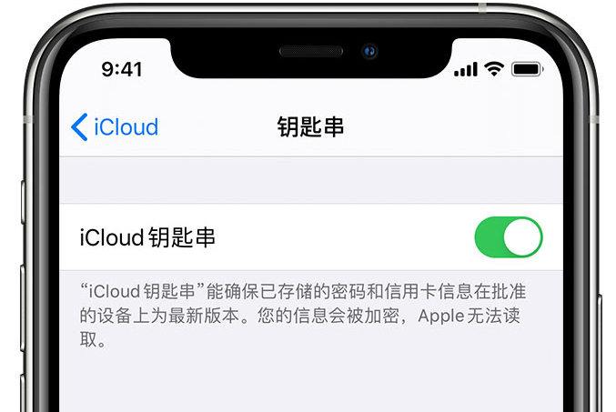 延川苹果手机维修分享在 iPhone 上开启 iCloud 钥匙串之后会储存哪些信息 